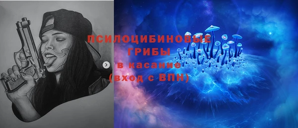 молекула духа Алзамай