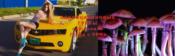 кристаллы Алексин