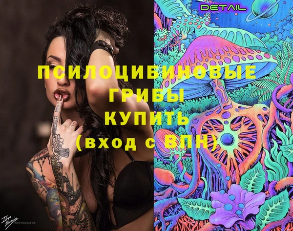 гашик Абинск