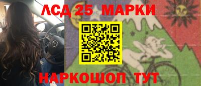 гидропоника Дубна