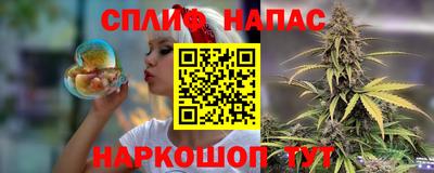 гидропоника Дубна