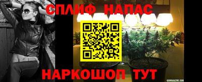 СК Донецк