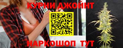 гидропоника Дубна