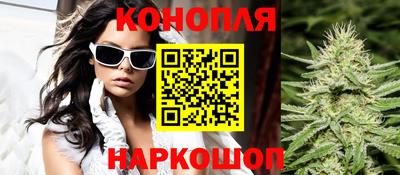 гидропоника Дубна