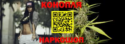 СК Донецк