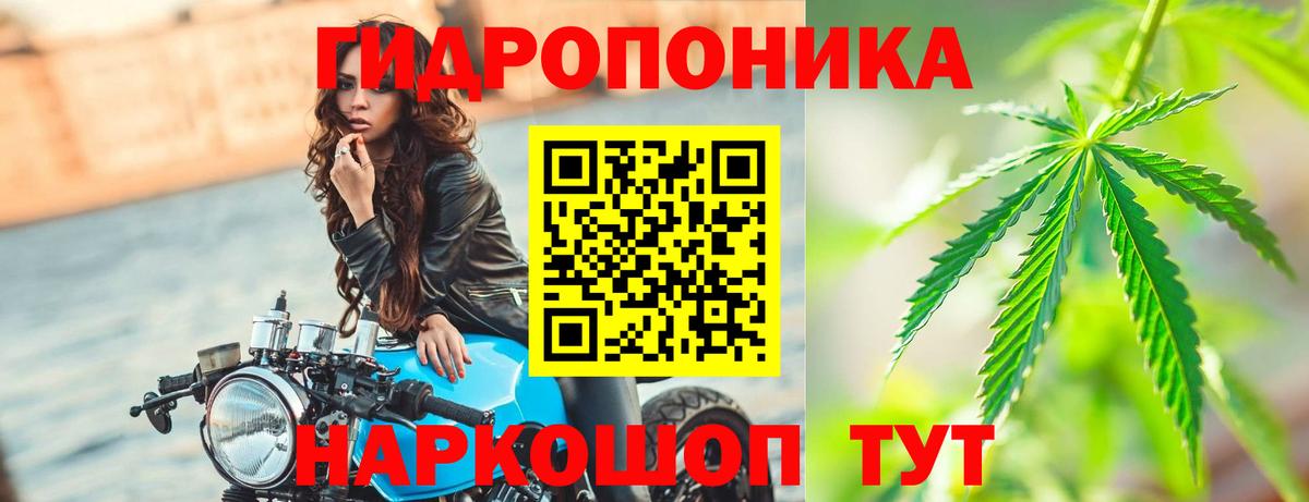 Бошки марихуана VHQ  Марихуана тримм  Старая Купавна  Каннабис индика  Вход с VPN 